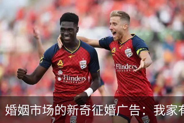 婚姻市场的新奇征婚广告：我家有三个老人等你照顾！
