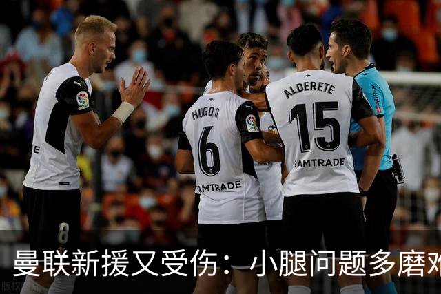 曼联新援又受伤：小腿问题多磨难，斯洛文尼亚真等不及了