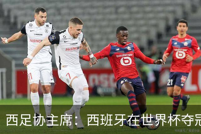 西足协主席：西班牙在世界杯夺冠让足球伸张了正义